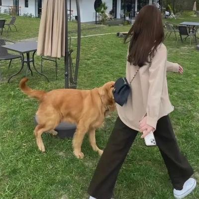 一个小印第安人